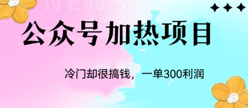 冷门公众号加热项目，一单利润300+_双星网创_创业赚钱_抖音教程_短视频教程