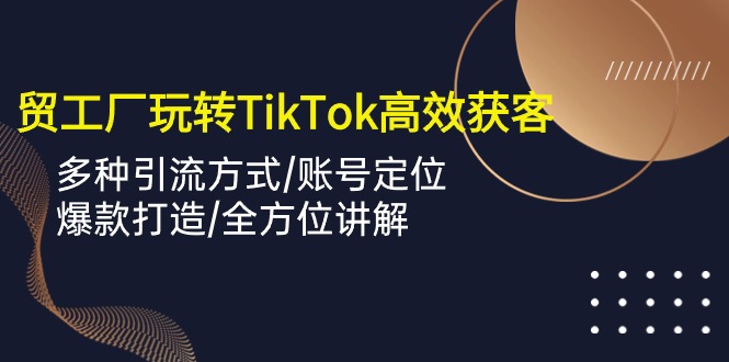 （10302期）外贸工厂玩转TikTok高效获客，多种引流方式/账号定位/爆款打造/全方位讲解_双星网创_创业赚钱_抖音教程_短视频教程