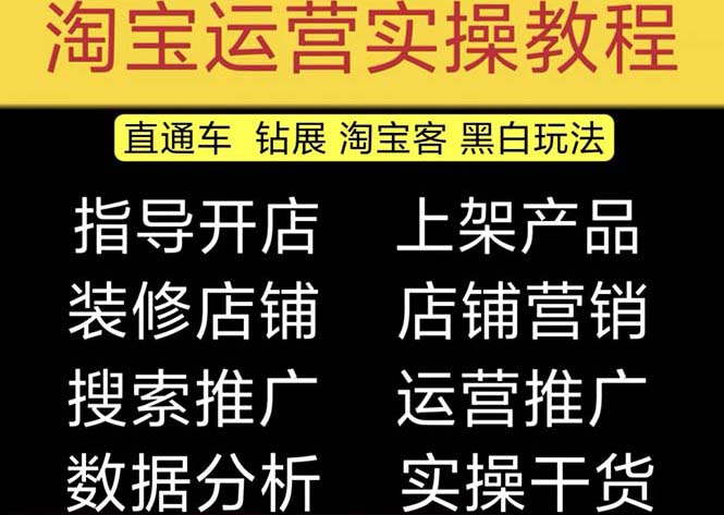 2023淘宝开店教程0基础到高级全套视频网店电商运营培训教学课程（2月更新）_双星网创_创业赚钱_抖音教程_短视频教程
