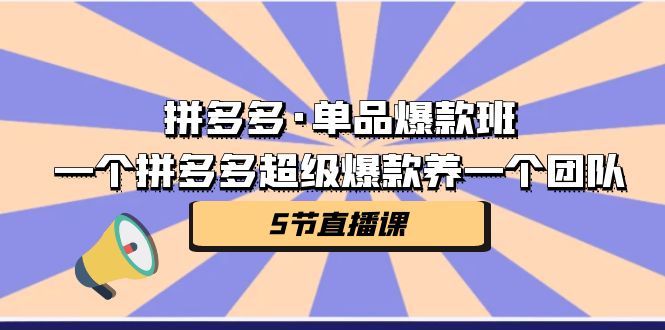 拼多多·单品爆款班，一个拼多多超级爆款养一个团队（5节直播课）_双星网创_创业赚钱_抖音教程_短视频教程