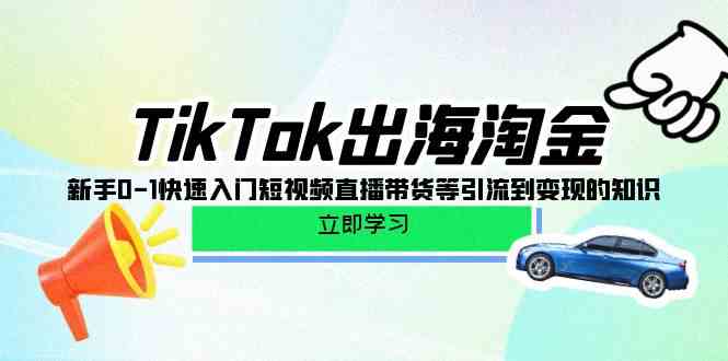 TikTok出海淘金，新手0-1快速入门短视频直播带货等引流到变现的知识_双星网创_创业赚钱_抖音教程_短视频教程