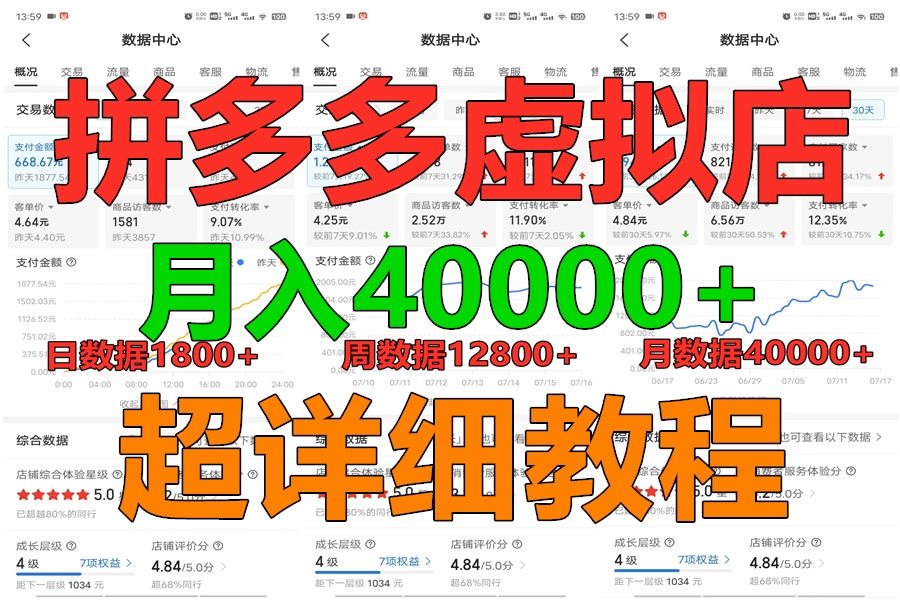 拼多多虚拟电商训练营月入40000+，全网最详细，你做你也行，暴利稳定长久_双星网创_创业赚钱_抖音教程_短视频教程