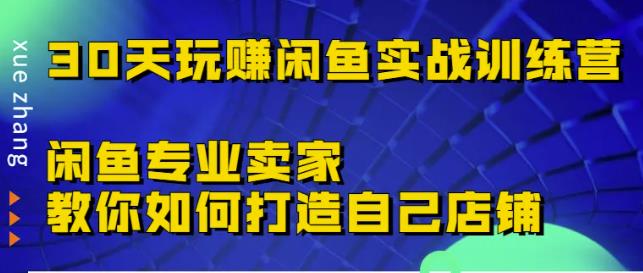30天玩赚闲鱼实战训练营，闲鱼专业卖家教你如何打造自己店铺￼_双星网创_创业赚钱_抖音教程_短视频教程