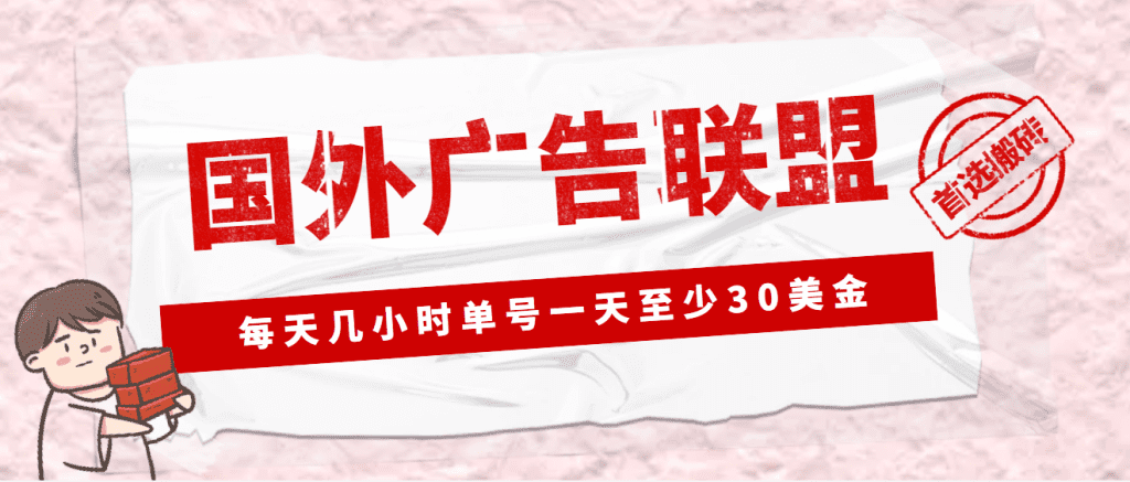 外面收费1980最新国外LEAD广告联盟搬砖项目，单号一天至少30美金(详细教程)_双星网创_创业赚钱_抖音教程_短视频教程