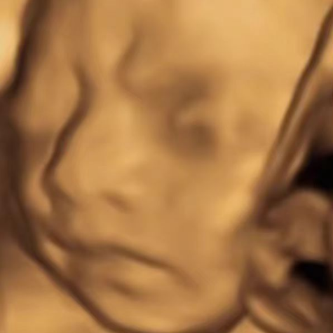 多渔日记·图书项目，无货源图书模式，纯搬运，单号月入4000+￼_双星网创_创业赚钱_抖音教程_短视频教程