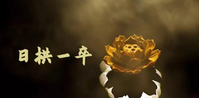 主播/打光/布光/培训营：让你掌握高级的打光方式，提升直播间画面质量_双星网创_创业赚钱_抖音教程_短视频教程