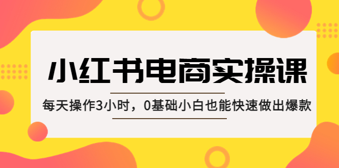 小红书·电商实操课：每天操作3小时，0基础小白也能快速做出爆款！_双星网创_创业赚钱_抖音教程_短视频教程