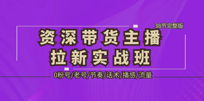 资深·带货主播拉新实战班，0粉号/老号/节奏/话术/播感/流量-38节完整版_双星网创_创业赚钱_抖音教程_短视频教程