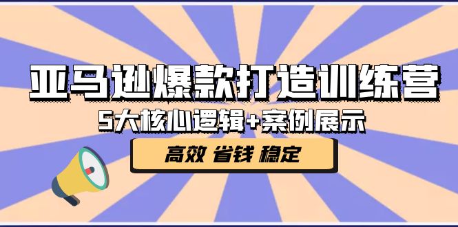 亚马逊爆款打造训练营：5大核心逻辑+案例展示 打造爆款链接 高效 省钱 稳定_双星网创_创业赚钱_抖音教程_短视频教程