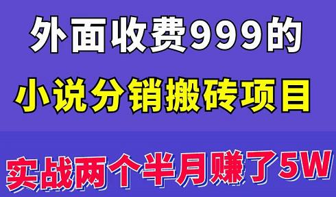 外面收费999的小说分销搬砖项目：实战两个半月赚了5W块，操作简单！￼_双星网创_创业赚钱_抖音教程_短视频教程