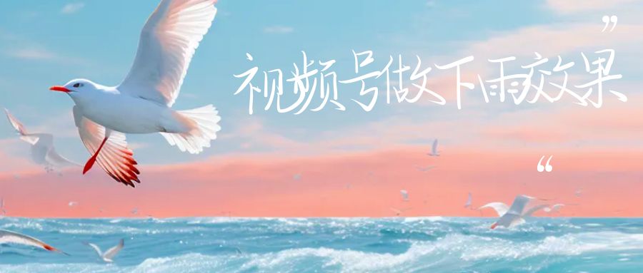 视频号做下雨视频一个账号一周涨粉10W+年入100w_双星网创_创业赚钱_抖音教程_短视频教程