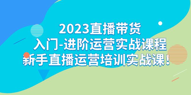 2023直播带货入门-进阶运营实战课程：新手直播运营培训实战课！_双星网创_创业赚钱_抖音教程_短视频教程