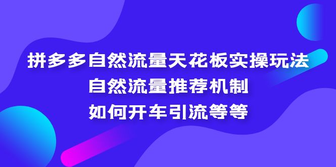 拼多多自然流量天花板实操玩法：自然流量推荐机制，如何开车引流等等_双星网创_创业赚钱_抖音教程_短视频教程