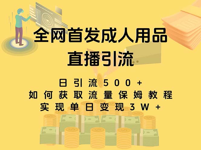 最新全网独创首发，成人用品直播引流获客暴力玩法，单日变现3w保姆级教程_双星网创_创业赚钱_抖音教程_短视频教程