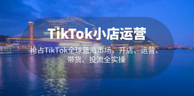 TikTok小店运营 抢占TikTok全球蓝海市场，开店、运营、带货、投流全实操_双星网创_创业赚钱_抖音教程_短视频教程