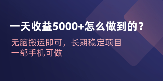 一天收益5000+怎么做到的？无脑搬运即可，长期稳定项目，一部手机可做_双星网创_创业赚钱_抖音教程_短视频教程