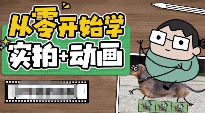 从零开始学实拍加动画，实拍加动画创意教程（49节视频课）_双星网创_创业赚钱_抖音教程_短视频教程