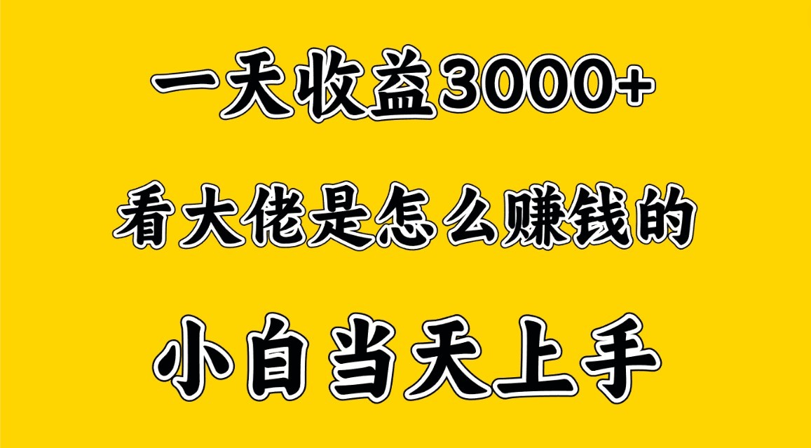 一天赚3000多，大佬是这样赚到钱的，小白当天上手，穷人翻身项目_双星网创_创业赚钱_抖音教程_短视频教程