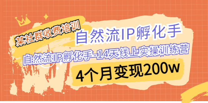 某社群收费培训：自然流IP 孵化手-14天线上实操训练营 4个月变现200w_双星网创_创业赚钱_抖音教程_短视频教程