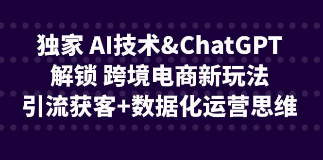 独家 AI技术&ChatGPT解锁 跨境电商新玩法，引流获客+数据化运营思维_双星网创_创业赚钱_抖音教程_短视频教程