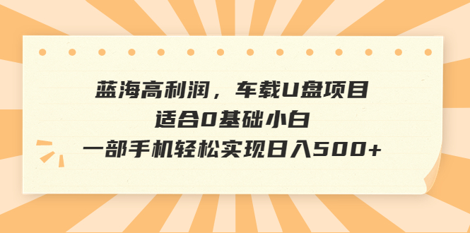 蓝海高利润，车载U盘项目，适合0基础小白，一部手机轻松实现日入500+_双星网创_创业赚钱_抖音教程_短视频教程