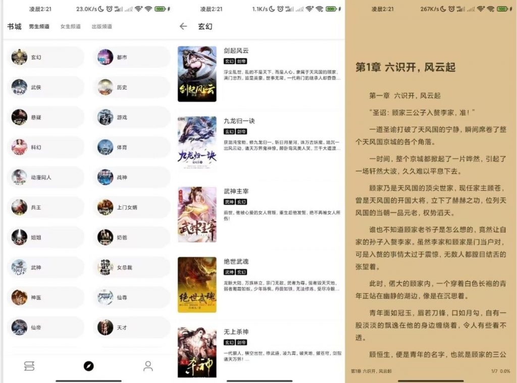 笔风阅读 海量书源全部免费去除广告_双星网创_创业赚钱_抖音教程_短视频教程