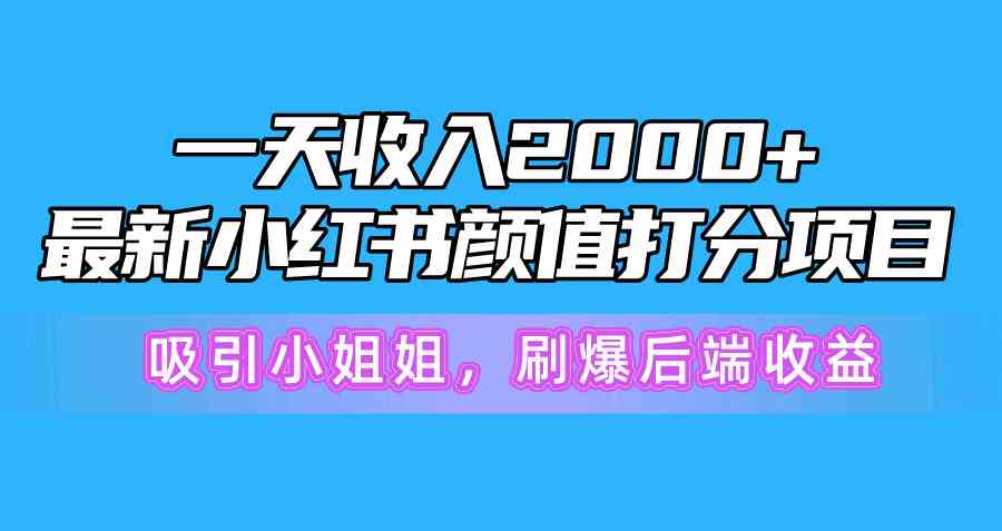 （10187期）一天收入2000+，最新小红书颜值打分项目，吸引小姐姐，刷爆后端收益_双星网创_创业赚钱_抖音教程_短视频教程