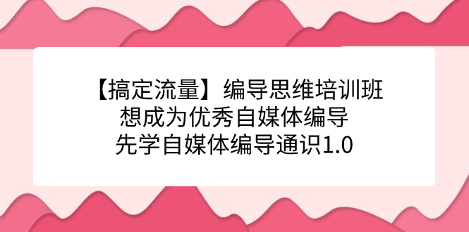 【搞定流量】编导思维培训班，想成为优秀自媒体编导先学自媒体编导通识1.0_双星网创_创业赚钱_抖音教程_短视频教程