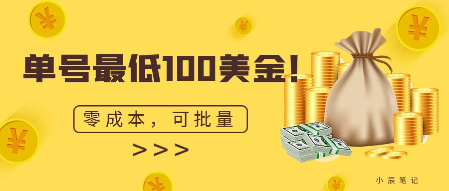 单号最低100美金，零成本，小白无脑操作。可复制，可扩大。_双星网创_创业赚钱_抖音教程_短视频教程