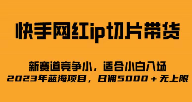 快手网红ip切片新赛道，竞争小事，适合小白 2023蓝海项目_双星网创_创业赚钱_抖音教程_短视频教程
