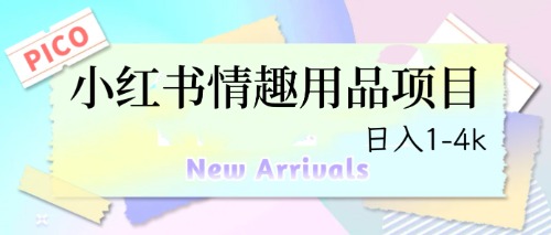 最新小红书情趣用品项目，日入1-4k_双星网创_创业赚钱_抖音教程_短视频教程