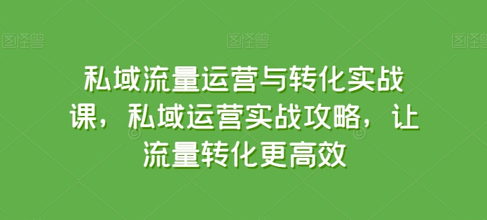 私域流量运营与转化实战课，私域运营实战攻略，让流量转化更高效_双星网创_创业赚钱_抖音教程_短视频教程