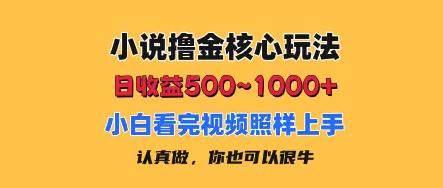 小说撸金核心玩法，日收益500-1000+，小白看完照样上手，0成本有手就行_双星网创_创业赚钱_抖音教程_短视频教程