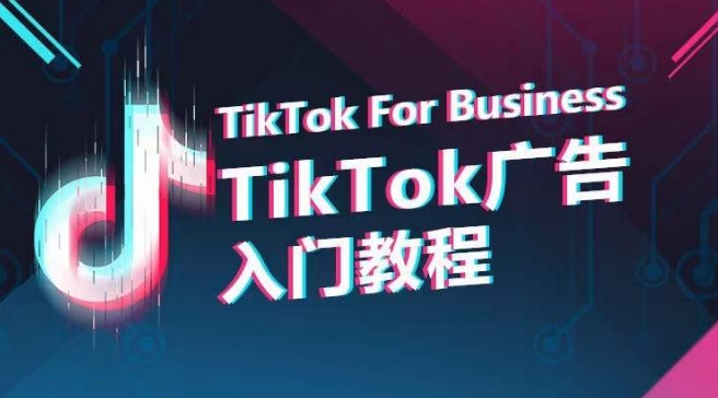 TikTok广告入门教程，从0到1掌握TikTok投放的全流程_双星网创_创业赚钱_抖音教程_短视频教程