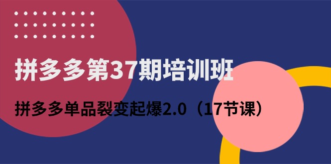 拼多多第37期培训班：拼多多单品裂变起爆2.0（17节课）_双星网创_创业赚钱_抖音教程_短视频教程