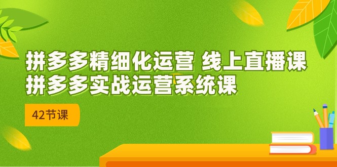 拼多多精细化运营 线上直播课：拼多多实战运营系统课（更新47节）_双星网创_创业赚钱_抖音教程_短视频教程