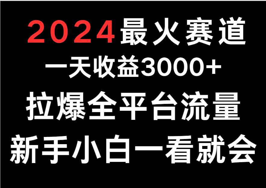 2024最火赛道，一天收一3000+.拉爆全平台流量，新手小白一看就会_双星网创_创业赚钱_抖音教程_短视频教程