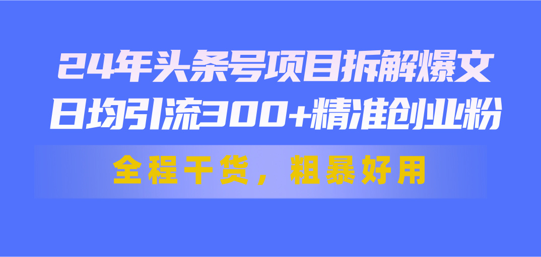 24年头条号项目拆解爆文，日均引流300+精准创业粉，全程干货，粗暴好用_双星网创_创业赚钱_抖音教程_短视频教程