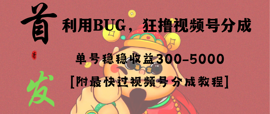全网独家首发，视频号BUG，超短期项目，单号每日净收益300-5000！_双星网创_创业赚钱_抖音教程_短视频教程