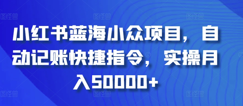 小红书蓝海小众项目，自动记账快捷指令，实操月入50000+_双星网创_创业赚钱_抖音教程_短视频教程
