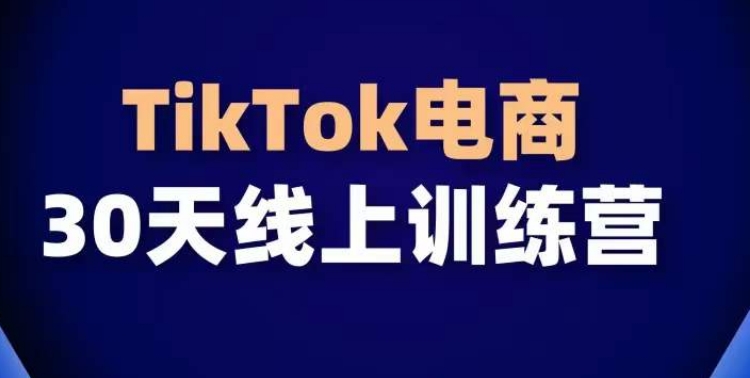 TikTok电商带货30天线上课，不可错过的全球流量洼地！_双星网创_创业赚钱_抖音教程_短视频教程