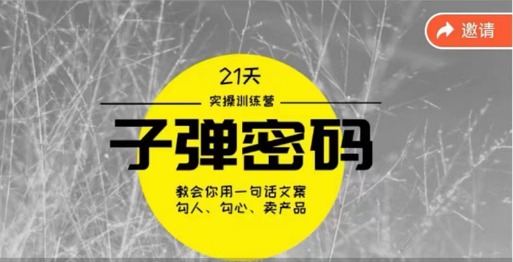 《子弹密码训练营》用一句话文案勾人勾心卖产品，21天学到顶尖文案大师策略和技巧_双星网创_创业赚钱_抖音教程_短视频教程