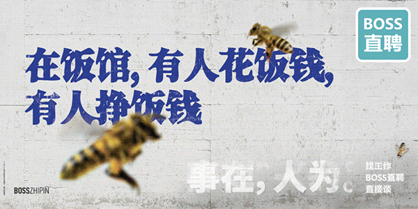boss直聘电脑版 v1.6.2官方版_双星网创_创业赚钱_抖音教程_短视频教程
