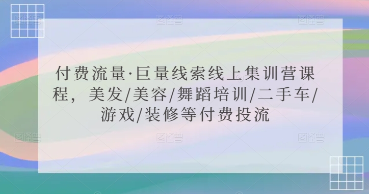 付费流量·巨量线索线上集训营课程，美发/美容/舞蹈培训/二手车/游戏/装修等付费投流_双星网创_创业赚钱_抖音教程_短视频教程