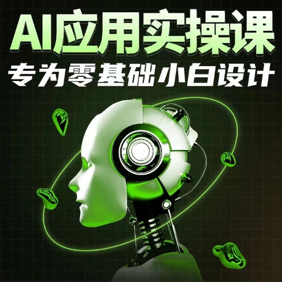 AI应用实操课，专为零基础小白设计_双星网创_创业赚钱_抖音教程_短视频教程