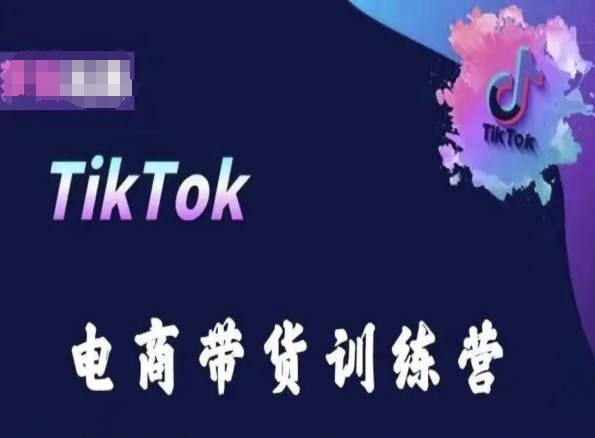 TikTok电商带货训练营，跟随时代潮流，跨境掘金_双星网创_创业赚钱_抖音教程_短视频教程