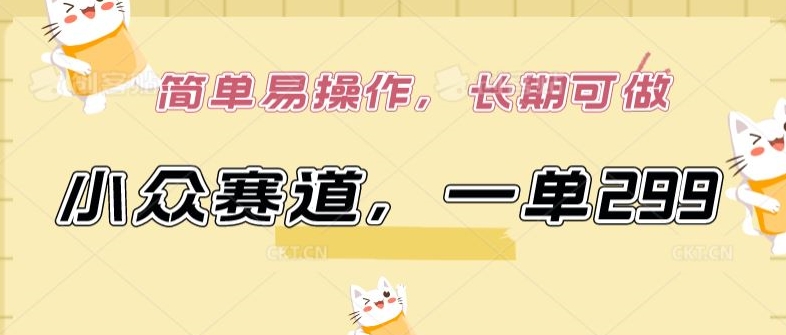 小众赛道，一单299.简单易操作，长期可做_双星网创_创业赚钱_抖音教程_短视频教程