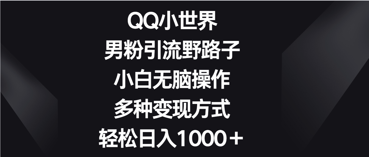 QQ小世界男粉引流野路子，小白无脑操作，多种变现方式轻松日入1000＋_双星网创_创业赚钱_抖音教程_短视频教程