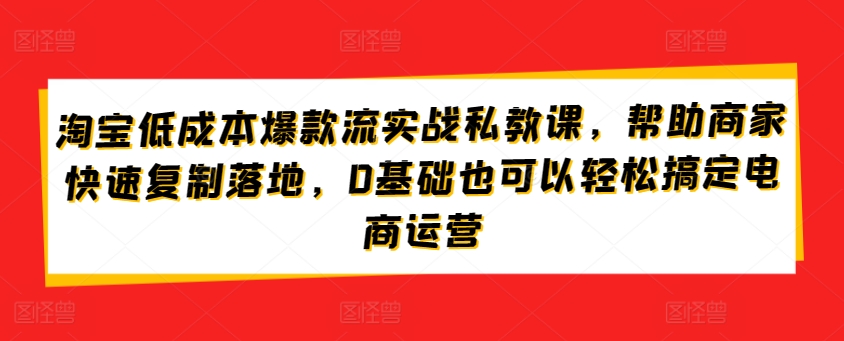 淘宝低成本爆款流实战私教课，帮助商家快速复制落地，0基础也可以轻松搞定电商运营_双星网创_创业赚钱_抖音教程_短视频教程