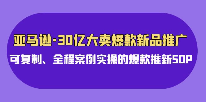 亚马逊30亿大卖爆款新品推广，可复制、全程案例实操的爆款推新SOP_双星网创_创业赚钱_抖音教程_短视频教程